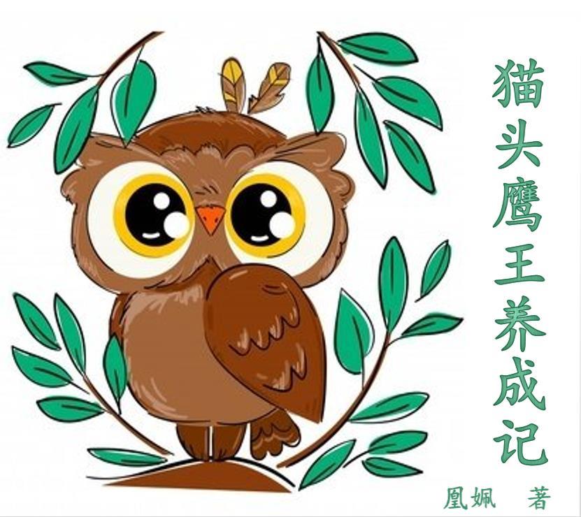 猫头鹰王国中文完整版